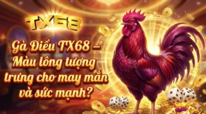 Gà Điều TX68 – Màu lông tượng trưng cho may mắn và sức mạnh