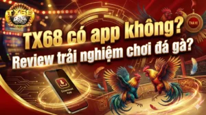 TX68 có app không? Review trải nghiệm chơi đá gà