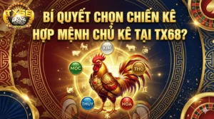 Bí quyết chọn chiến kê hợp mệnh chủ kê tại TX68