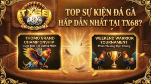 Top sự kiện đá gà hấp dẫn nhất tại TX68